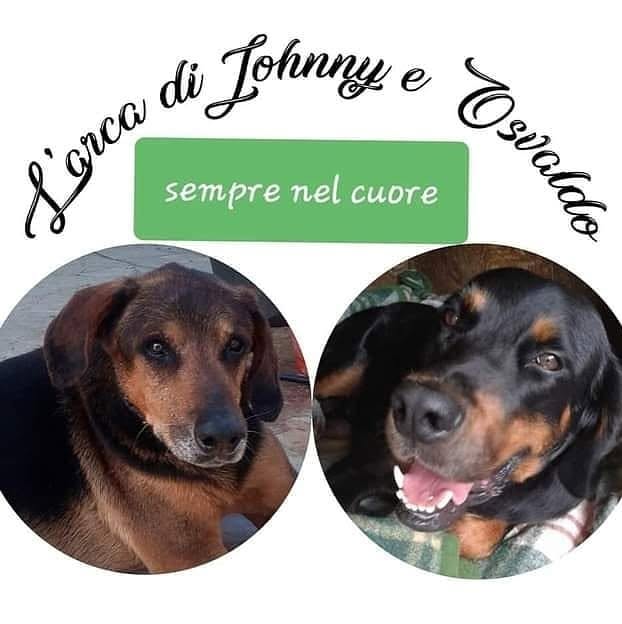 Logo L’Arca di Johnny e Osvaldo ODV